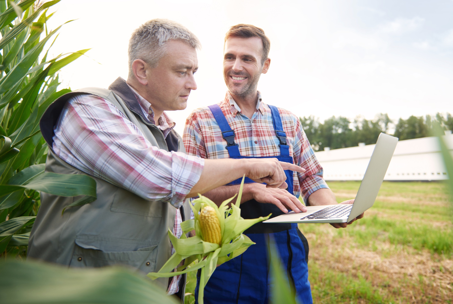 How Professional Farmland Developers Add Value to Your Investment